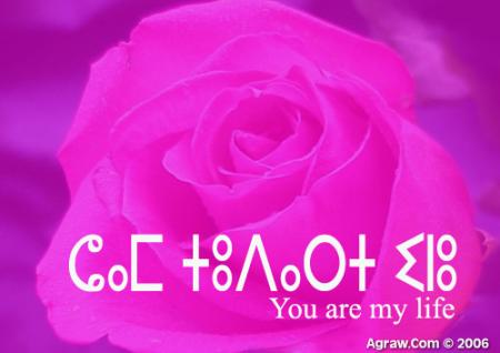 merci tous   mi zami tanmi3ete   i3ezan